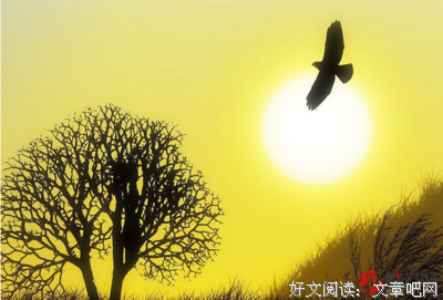 《物在暮》的句子