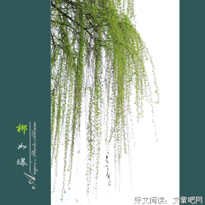 柳如痴名人名言