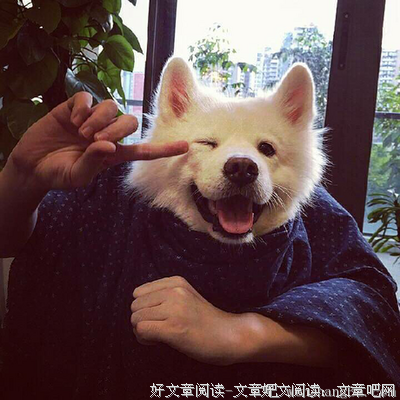 最经典的寻找梦中的回忆的名言