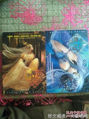 最新的《魔女的封印》小说书摘大全