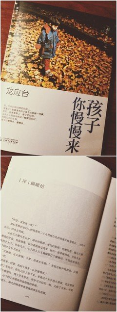 最全的《孩子你慢慢来》唯美语录