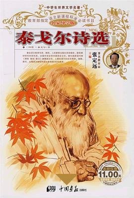 最经典的《沉默也会歌唱》好段摘抄大全