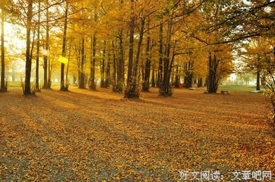《初恋了那么多年》名句欣赏