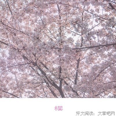 描写大鬼的语句摘抄