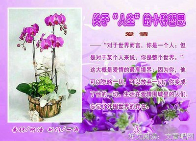 关于哲思的优美句子