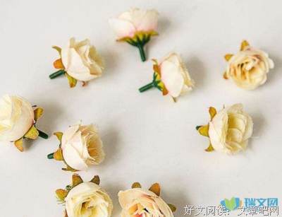 红尘摆渡，古能界你有她叫的文字河床句子大全