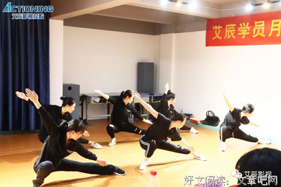 艾辰经典句子