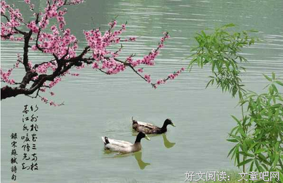 乱的名言