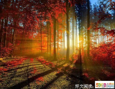 最经典的仐三名言大全