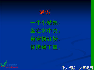 最经典的《灵性深处开莲花》美文摘抄