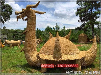 《艺术人生》制作人用镜头揭露成年人生活真相：生活不易，但仍要