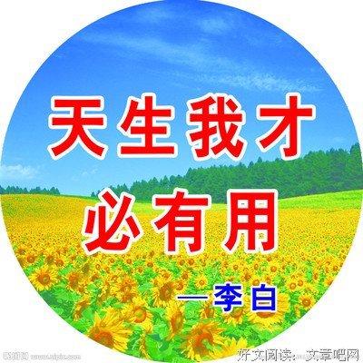 最全的《你是谁 - 学校2015》经典名句大全