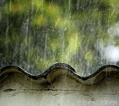 最新的《细雨喃喃 伽蓝雨》经典句子