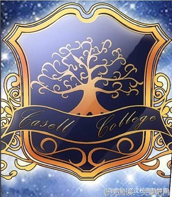 最新的《你的孤独虽败犹荣》佳句摘抄