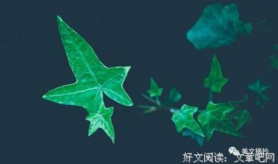 最新的《唯有深海与你同眠》佳句摘抄