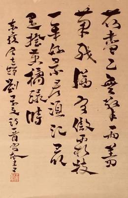 最新的《天才的激情与感悟》佳句摘抄
