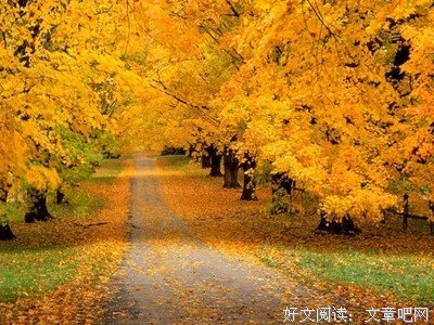 最经典的《我想和你互相浪费》经典语句