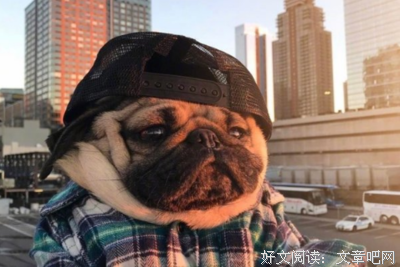 最全的《我的一个道姑朋友》经典名句大全