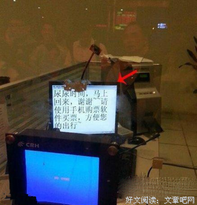 最新的《笑点低是一件好事》经典语句大全