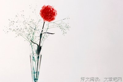 《藏在这世间的美好》经典句子大全