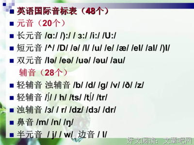 最新的《最后14堂星期二的课》小说句子