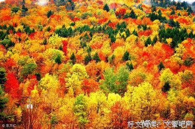 最全的《你只是看起来很努力》经典语句大全