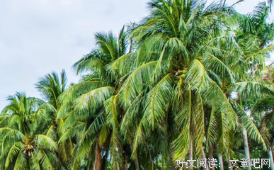 如何跟双鱼座做朋友