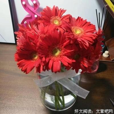 心累了，也该放手了