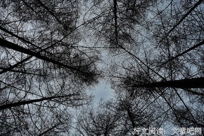 关于南笙的名言