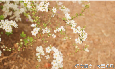 最全的杜牧名言