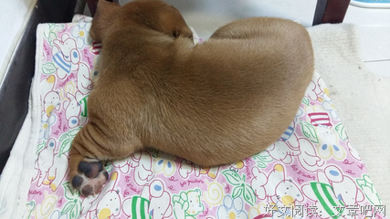 关于嘉倩经典句子