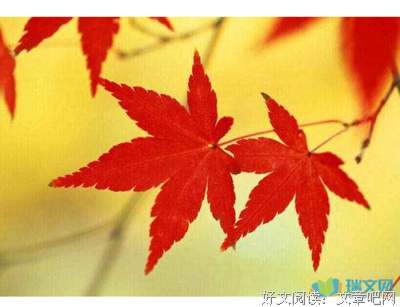 有关彭醉的名言