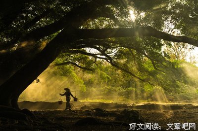 最全的《相逢如初见 回首是一生》语录摘抄
