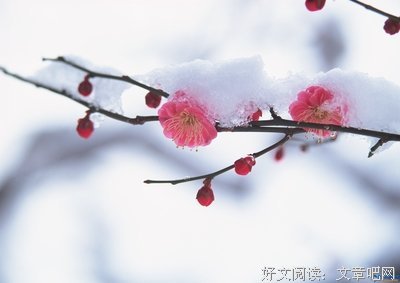 最经典的《天涯论坛--梅花易数详解》经典语句