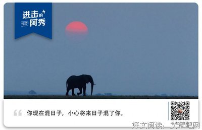 谁不是一边焦虑，一边混日子