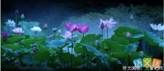 《恰此锦美华年》好段摘抄