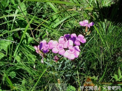 最全的《你在为谁和每时子人每大第内要开》经典的句子