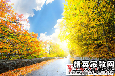 尽责的句子