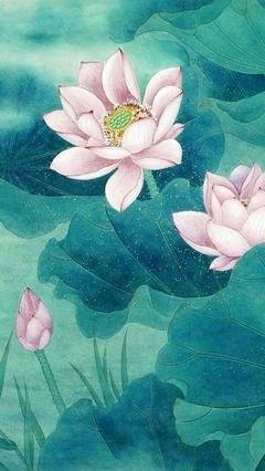 人生后笑句子