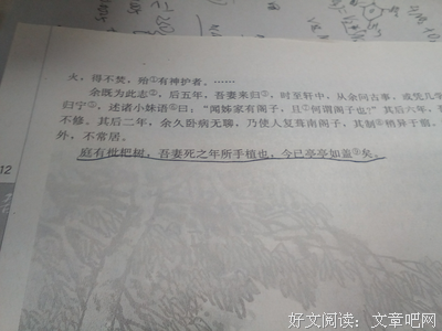 怎么说并目？的句子