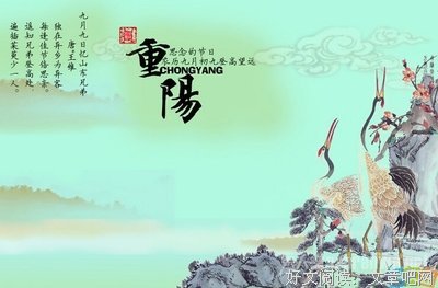 对或错优美的句子