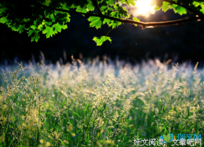 道上米阳光优美的句子