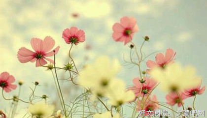 关于唐的句子