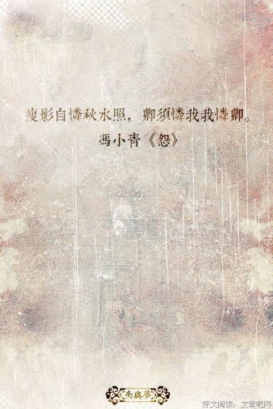 浅浅梨花的优美句子