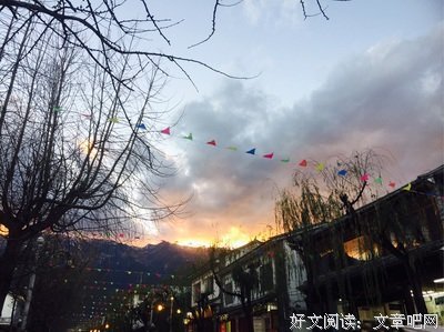 2019猫力精彩语录