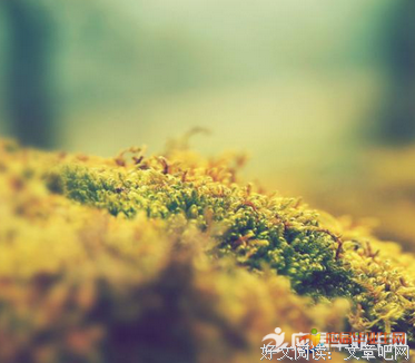 班固名言