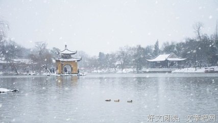最经典的琼瑶名言