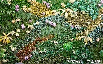关于禾早的名句