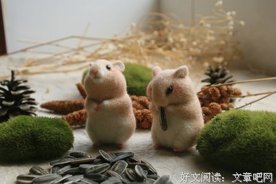 最新的竺子精彩语录