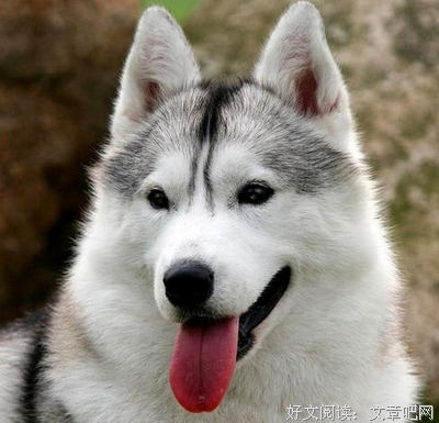 做自己的贵人
